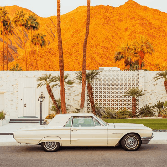Ludwig Favre_Palm-springs-thunderbird